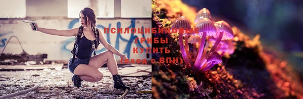 jwh Абаза